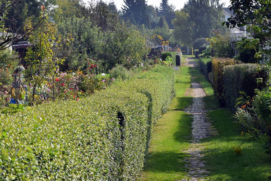 Garten Hauptgang